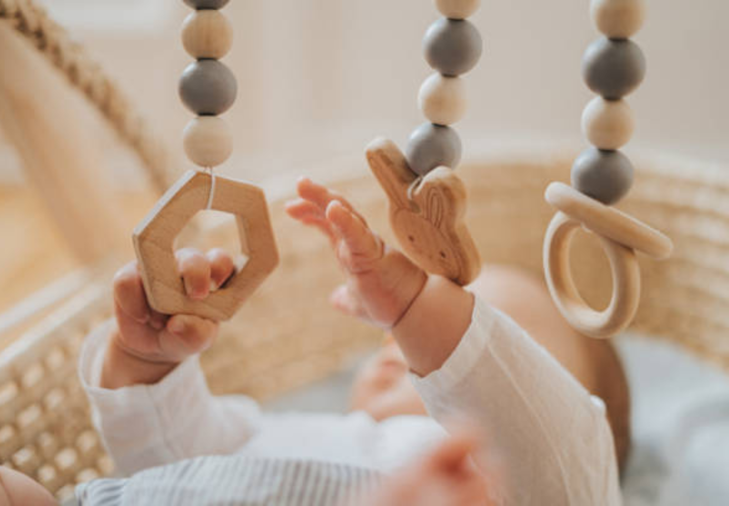 دبلوم مونتيسورى الدولي